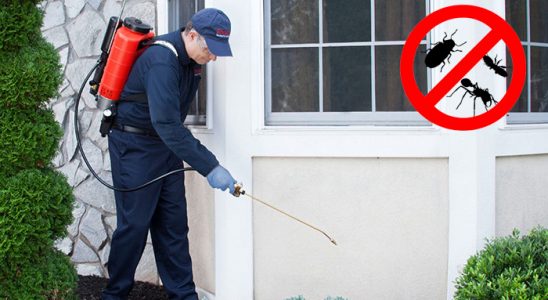 Kızılırmak Kemirgen İlaçlama böcek ilaçlama ve haşere kontrolü — ilaclama-tr.com